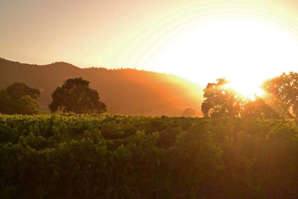An image of a winery at sunset