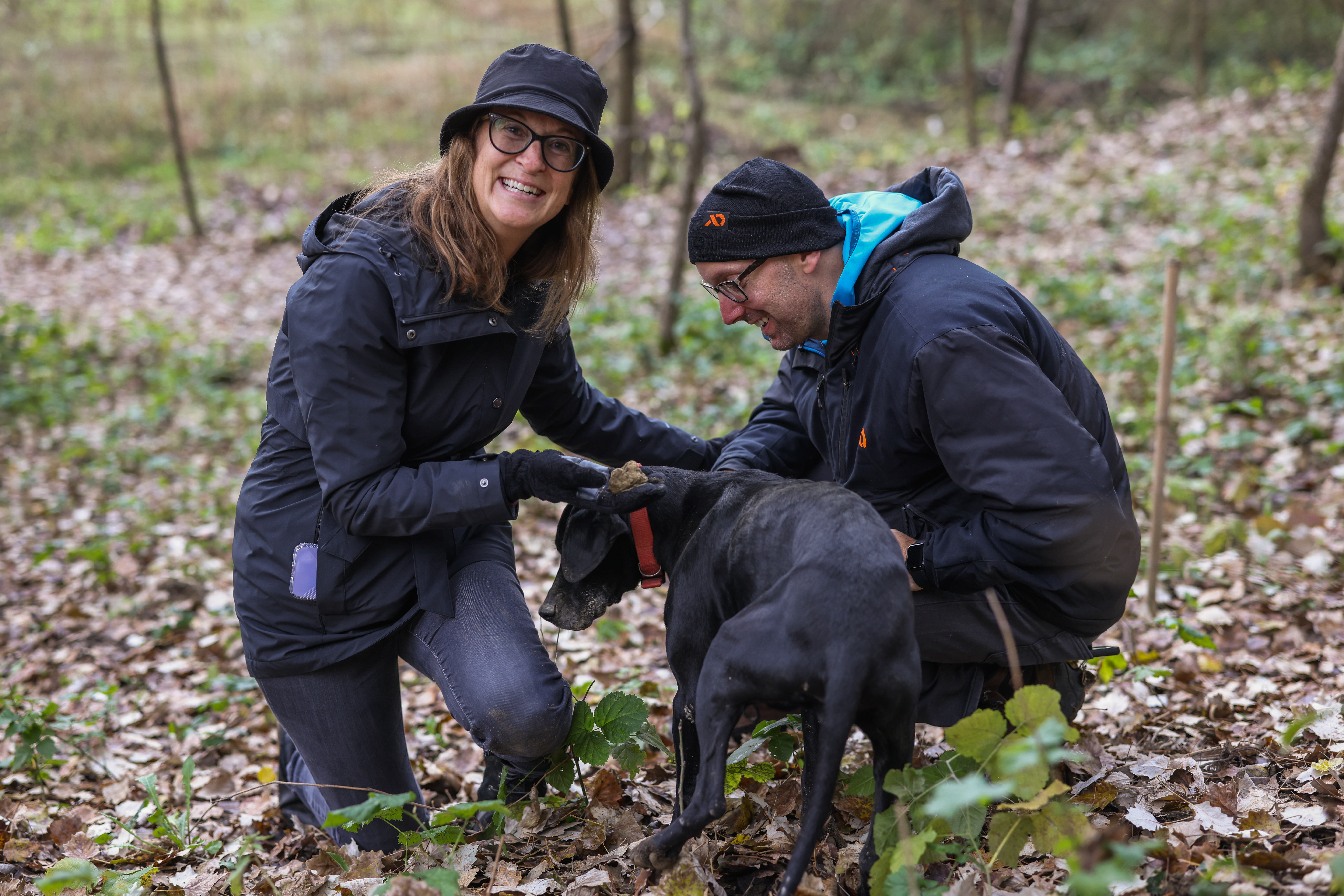 A couple kneels in the woods while hunting for truffles with a black dog