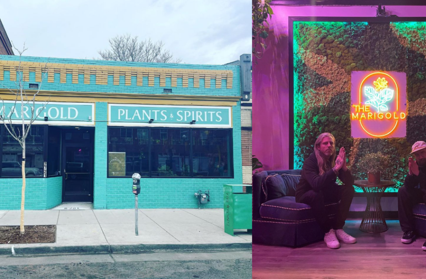 Marigold Plants & Spirits: Denver’s Urban Eden Opens Tonight!