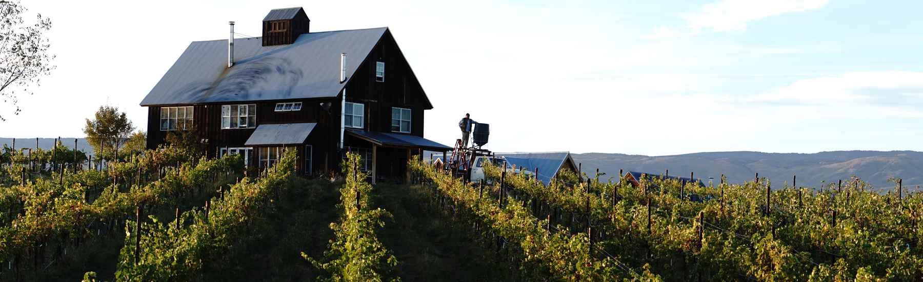 Farmer with a biodynamic stir machine standing in vineyard with bright green leaves on vines next to large farmhouse.