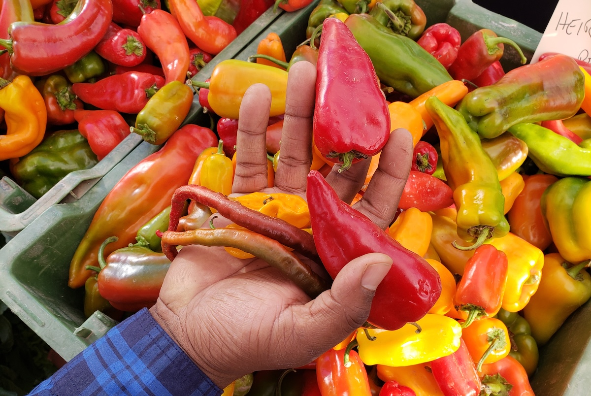 Thistle Whistle Farm grows some amazing peppers. | Photo by Linnea Covington