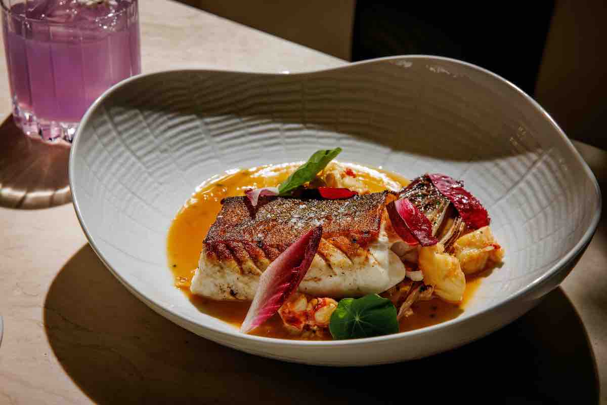 Black grouper at the Mont. | Photo by Samantha Marie Photography