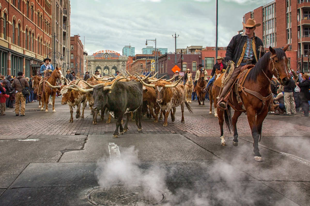 The Stock Show annual parade. | Photo by the National Western Stock Show