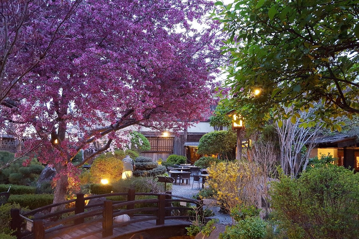 Dining at this Japanese country restaurant transports you. | Photo courtesy of Domo