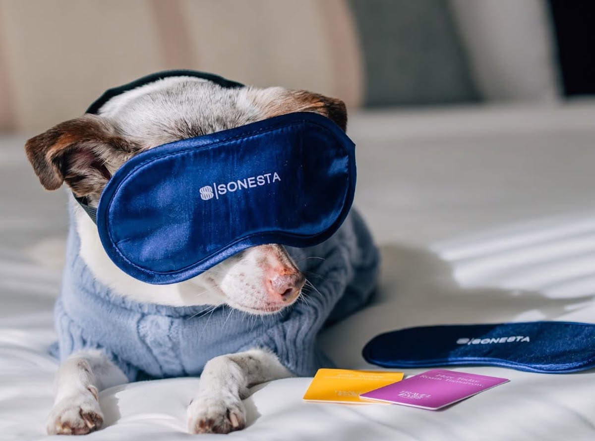 A pup gets the VIP treatment at Royal Sonesta Houston Galleria, complete with an eye mask and a cozy spot on the bed. | Photo by Royal Sonesta Houston