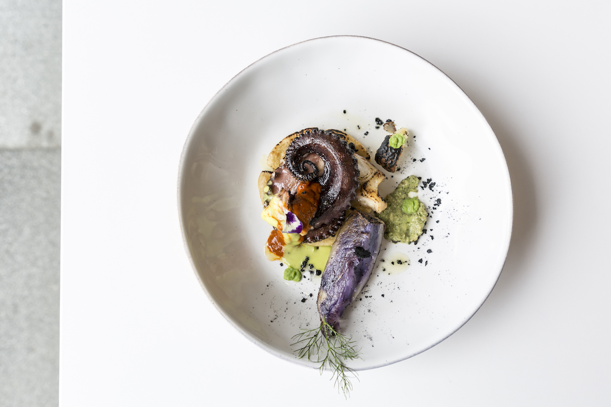 - DiningOut Octopus at Xochi. | Photo by Julie Soefer