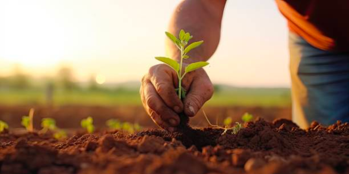 Join us in celebrating our hardworking farmers this National Farmers Day! Learn all about Colorado's best local products and why they produce the finest food around.