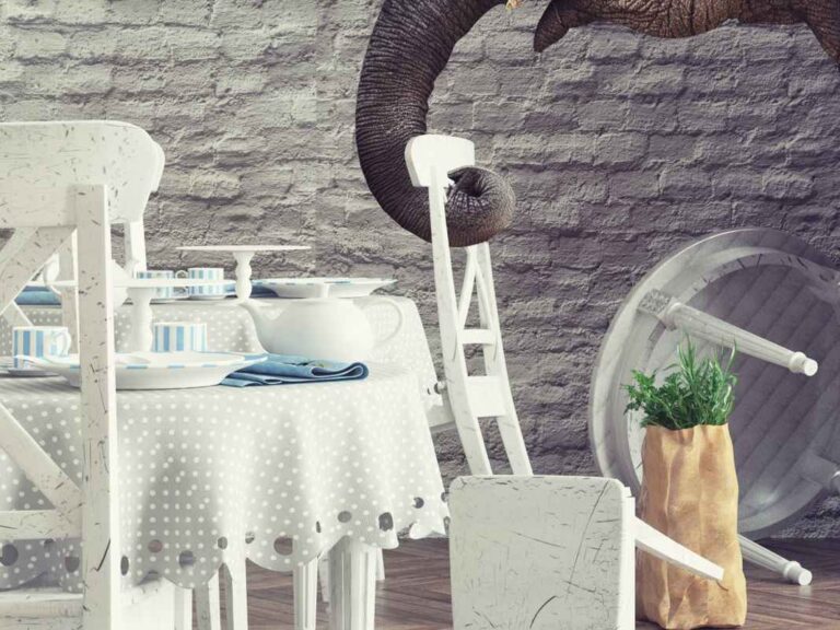 47971963_l-1-768x576-1