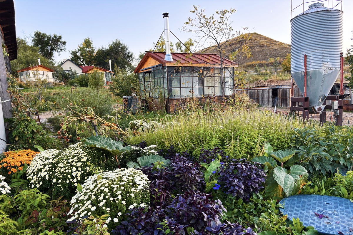 Chardon_16ozRCRanchWagyuRibeye_2024_03 - DiningOut Global Black Cat offers an exceptional farm-to-table experience | Photo by Douglas Brown