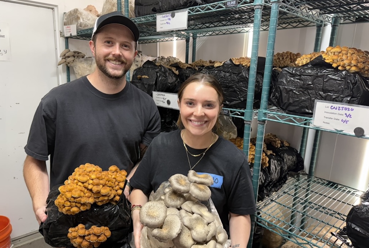 The Cannolo Farms crew: Mackenzie Paranto, left, with her husband Mac Paranto, right, in front of several shelves of fruiting chestnut mushrooms at the farm. | Photo by Antony Bruno