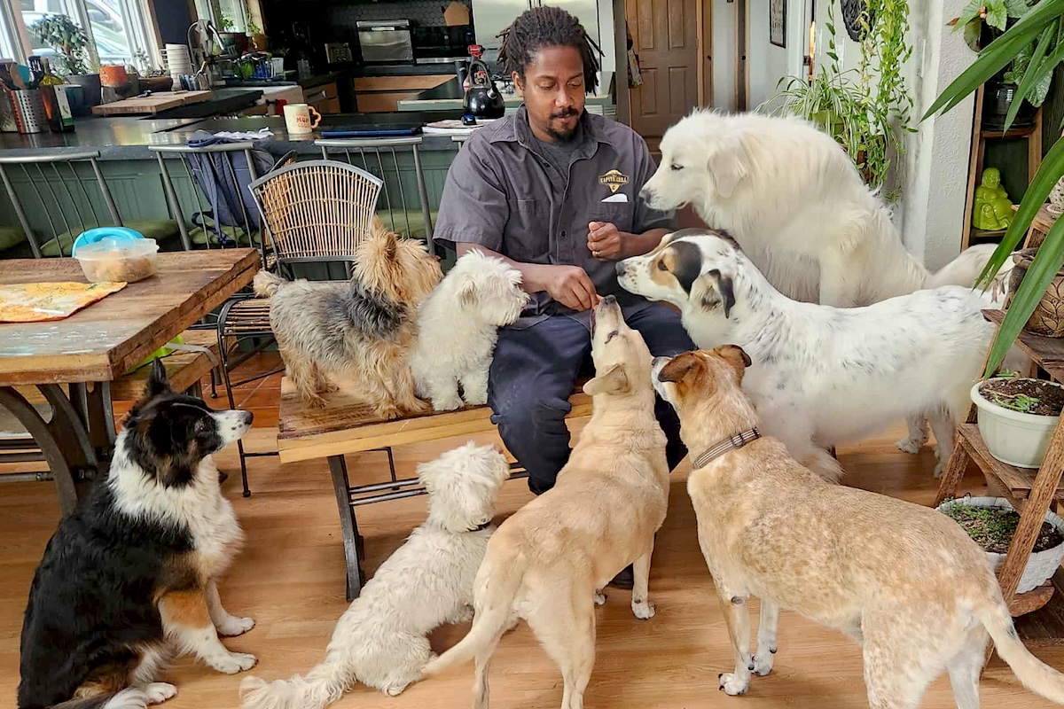 Chef John Wilson and his wife rescue dogs | Photo courtesy of John Wilson
