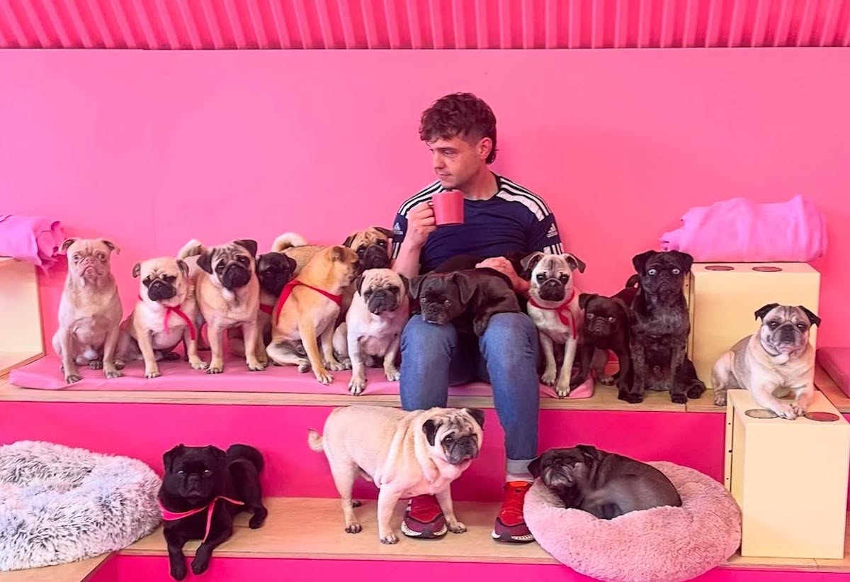 A guest poses in the pink room with a flock of pugs at CuppaPug in Manchester. | Photo by CuppaPug