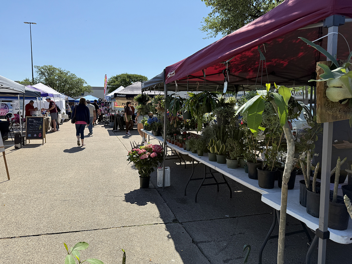 Scenes from the Carrollton Artisan Market. | Photo by Desiree Gutierrez