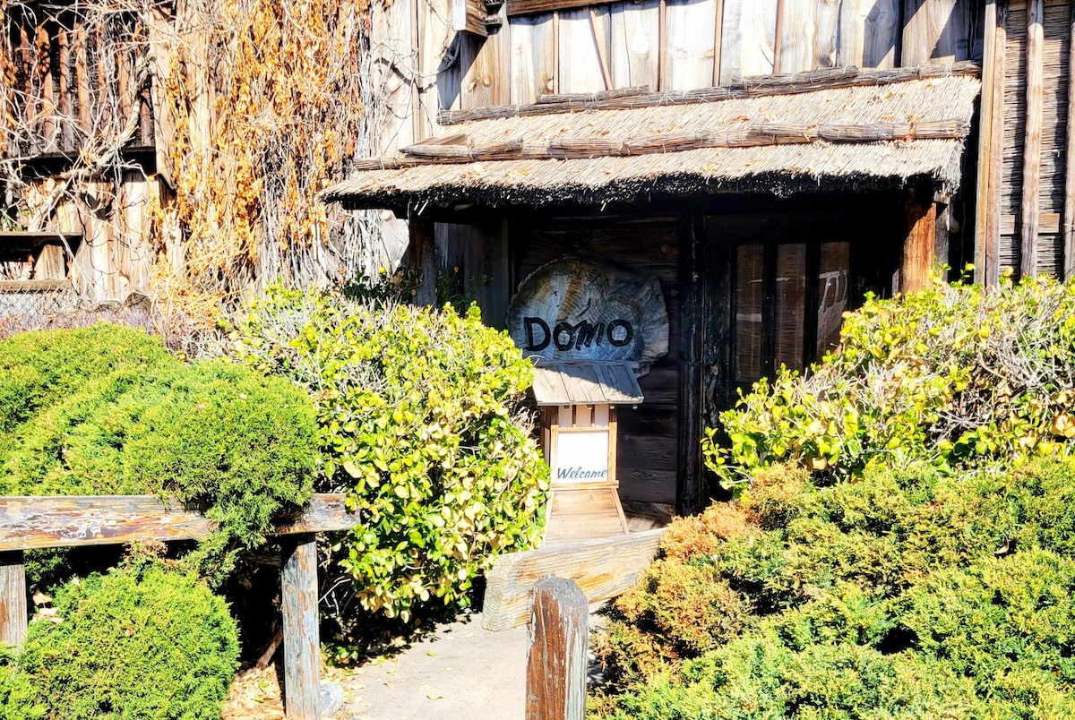 Domo_door_by_covington - DiningOut bushes with domo sign garden