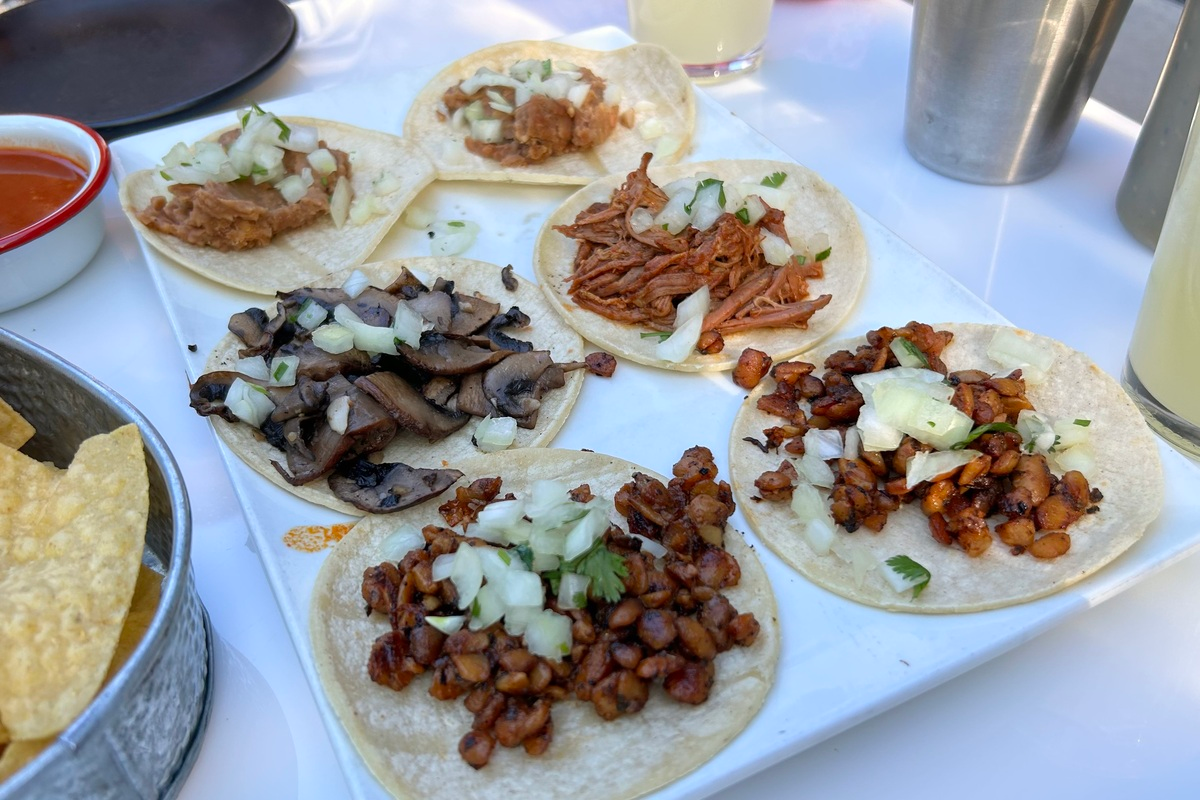 A white plate holds six street tacos from El Camino, each topped with different fillings like mushrooms, shredded pork, beans, and seasoned meat with onions.