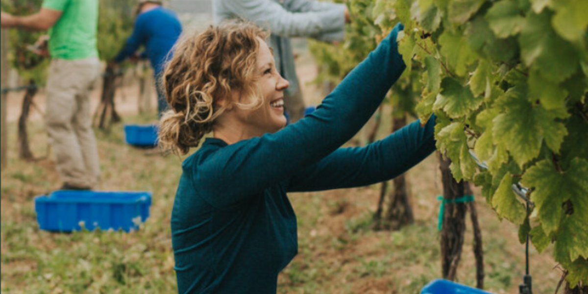 - DiningOut In 2017, Jayme and Steve answered the call of nature, departing the city and moving west as the new proprietors of a vineyard site in Colorado’s North Fork Valley. They recognized the potential of the property but also a need for significant rehabilitation of the land. The time had come to apply their understanding of balance and harmony to a new challenge: redefining the balance between Mother Nature and human effort in the vineyard.