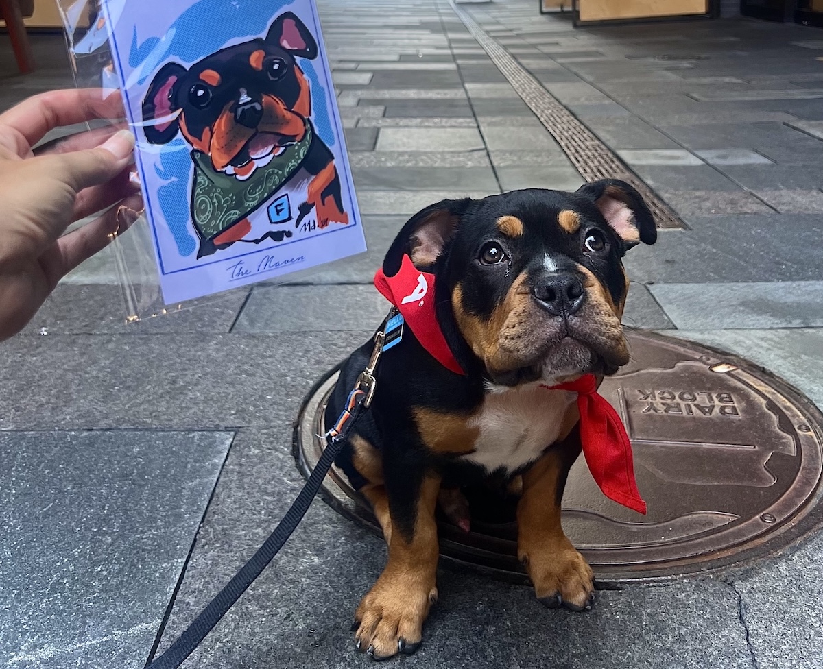 Christians-Tailgate_Hotdog-and-Astros-Hat_Becca-Wright - DiningOut The Maven hosts all sorts of dog-friendly events, like pup drawings. | Photo courtesy of The Maven Hotel