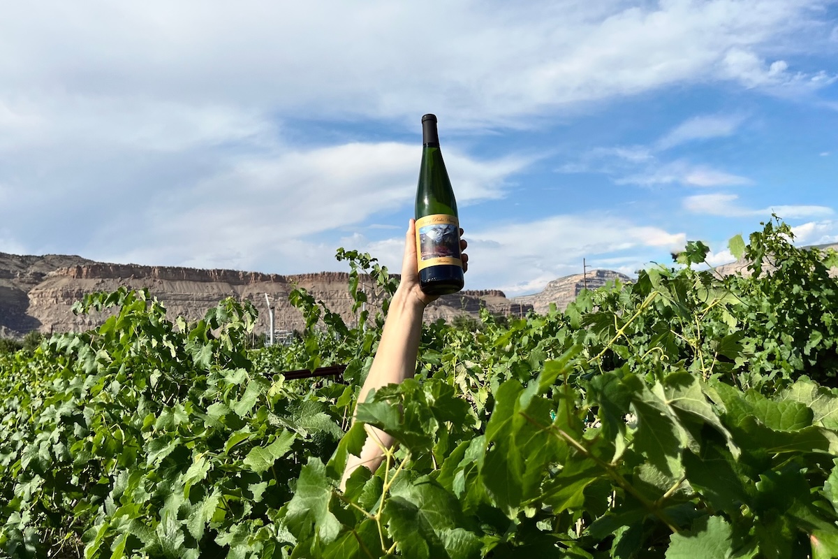 Snowy Peaks Winerys 2023 Albariño - DiningOut Snowy Peaks Winery's 2023 Albariño. | Photo courtesy of Colorado Wine Board