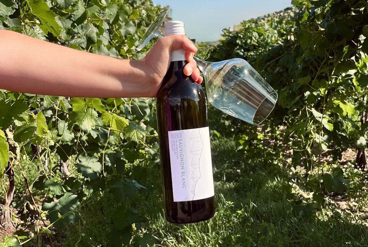 The Storm Cellar_Sauvignon Blanc - DiningOut The Storm Cellar in Hotchkiss makes a mean Sauvignon Blanc. | Photo courtesy of the Colorado Wine Board