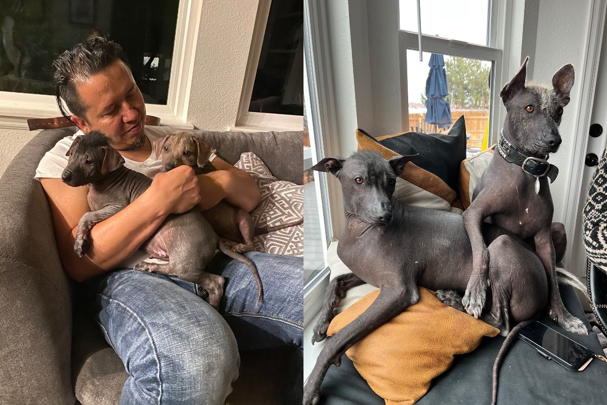 Pancho Villa Silva and Emiliano Zapata Silva. | Photos courtesy of Jesus Silva