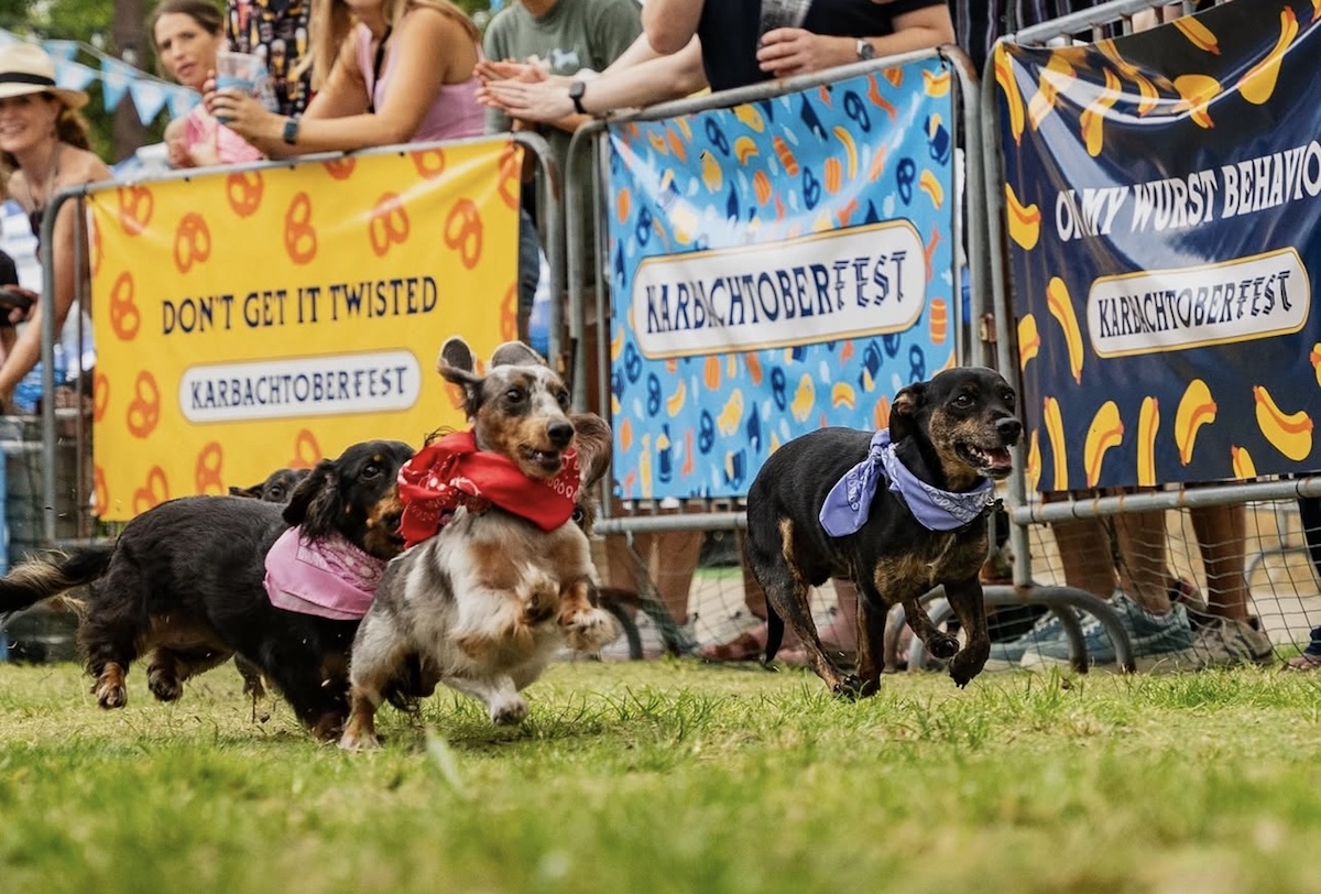 Weiner dogs race at Karbach Brewing's annual Karbachtoberfest. | Photo by Karbach Brewing Co.