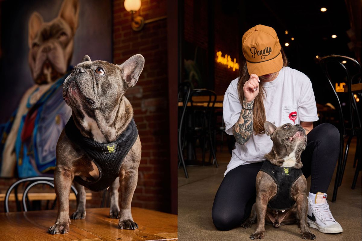 Angela Neri owns Pony Up and Side Pony, and the former celebrates her beloved pup. | Photo by Angela Neri