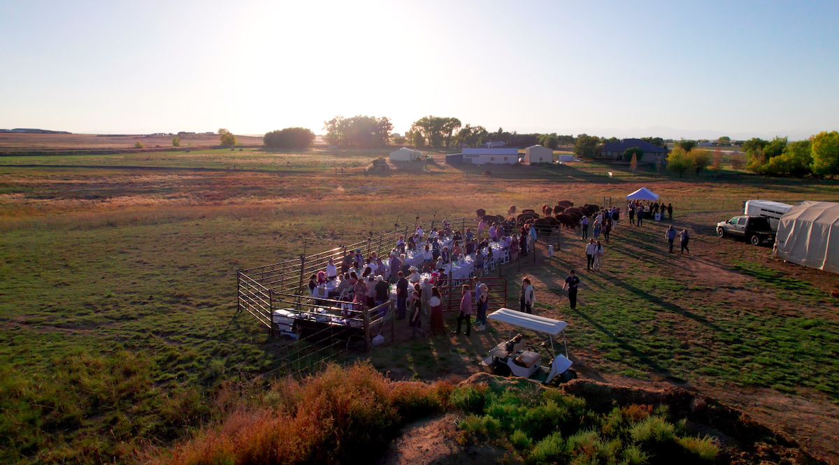 Scene from the farm. | Photo by Breaking Bread Social Club