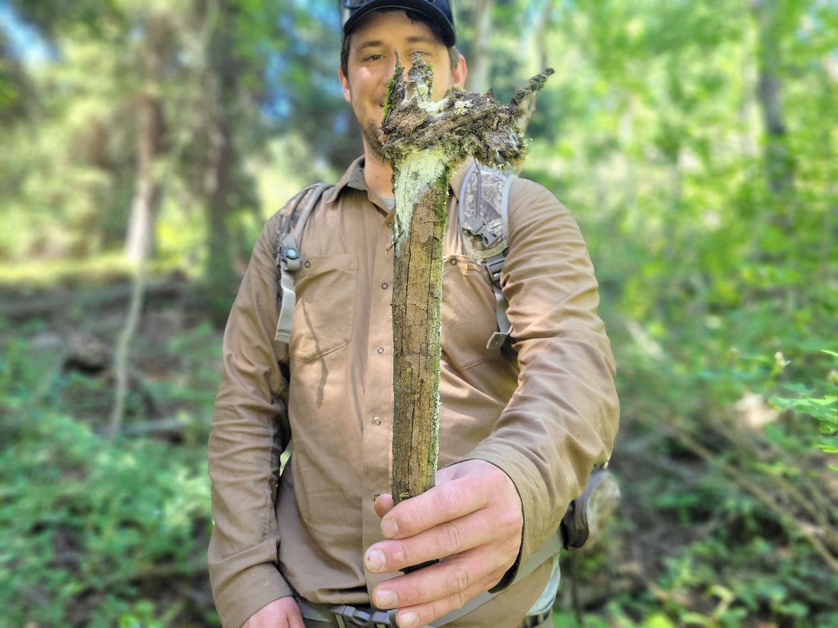Ramen-Belly - DiningOut All sorts of things in the woods hold edible treasures. | Photo by Linnea Covington