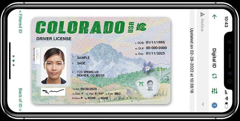 - DiningOut Image of Colorado driver's license on smartphone as part of the myColorado ID digital ID.
