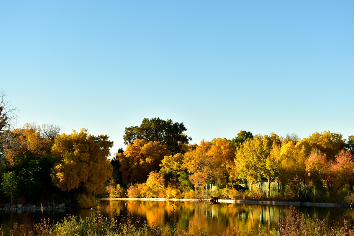 Catch a color show right in Denver at City Park. | Photo by Doni Rath