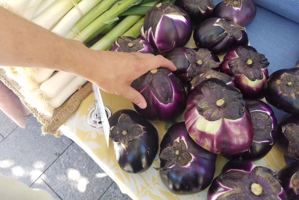 Fresh eggplant found in the summer farmers' market. | Photo by Linnea Covington