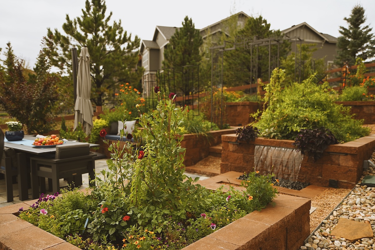 A lot of the greens and flowers come from the chef's family's farm. | Photo by Kelly Calvillo