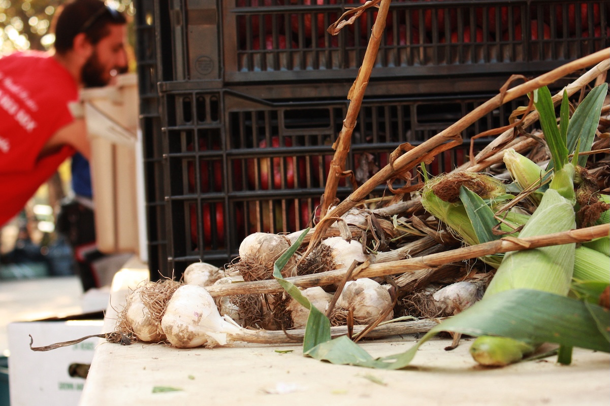 Garlic at the farmers' market. | Photo by Linnea Covington