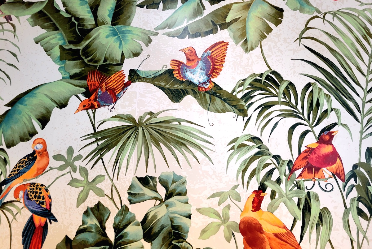 The wallpaper at Mister Oso in RiNo screams tropical vacation-party time. | Photo by Linnea Covington