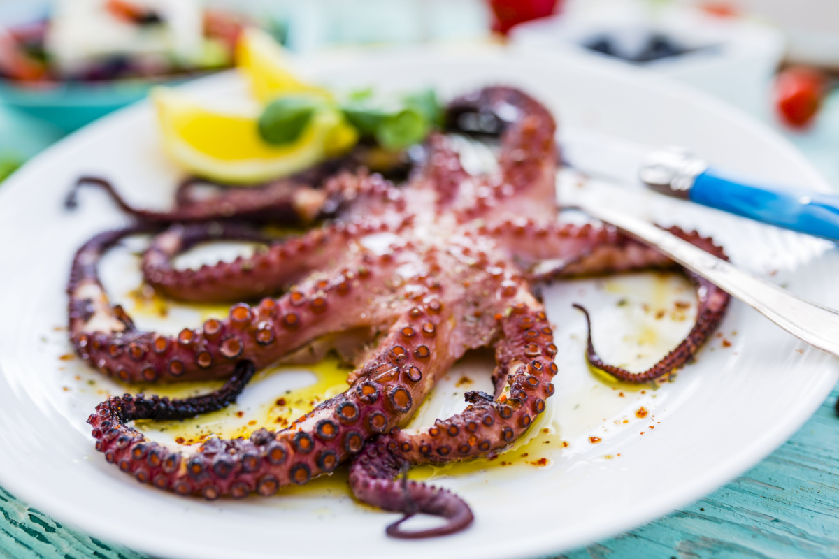 - DiningOut Grilled octopus on white plate.