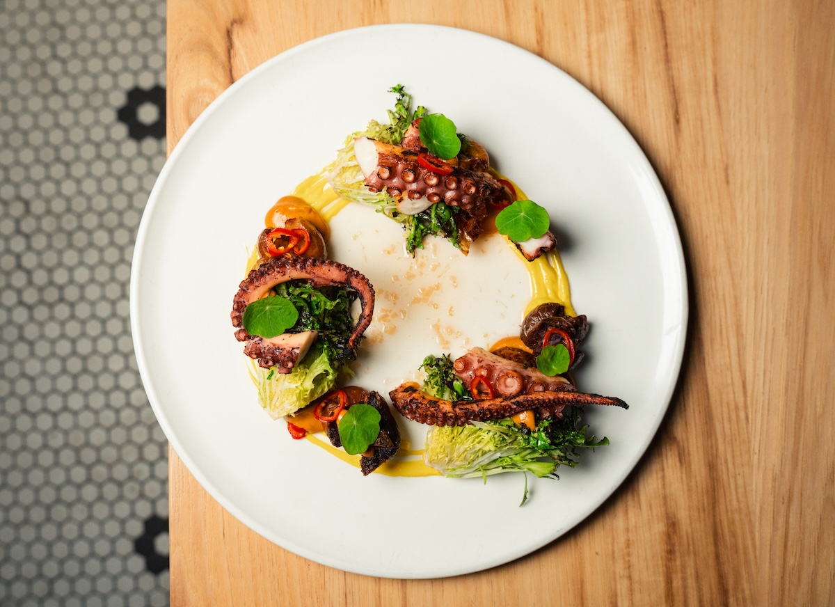 Octopus at Mercantile in Denver's Union Station. | Photo by Jeff Fierberg