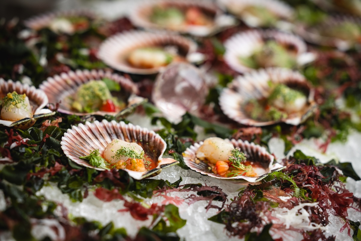 - DiningOut Beautiful scallops from the Buckhead Pride sponsored RARE Steak Festival in 2024. | Photo by DiningOut Staff