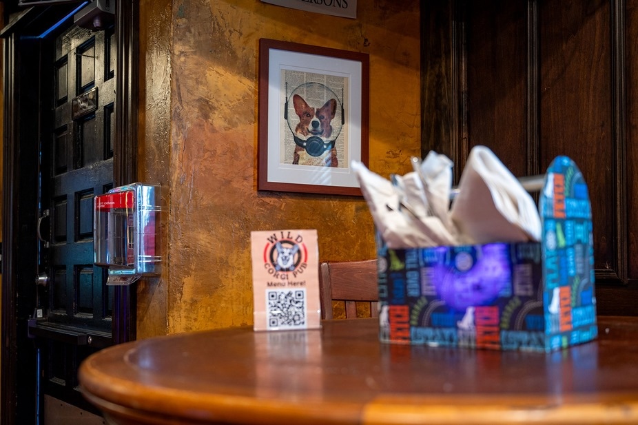 Madame-Zero-Champagne-Soiree - DiningOut Take a seat in the casual pub setting. | Photo by Wild Corgi Pub