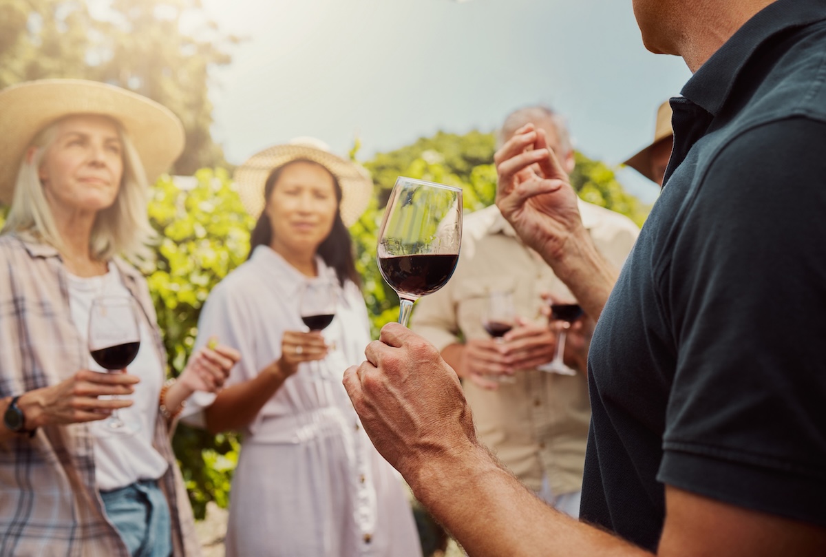 Farmer talking and explaining to diverse group of friends while holding wineglass of red wine on farm People standing together with alcohol for tasting during summer on vineyard Weekend wine tasting colorado stock image