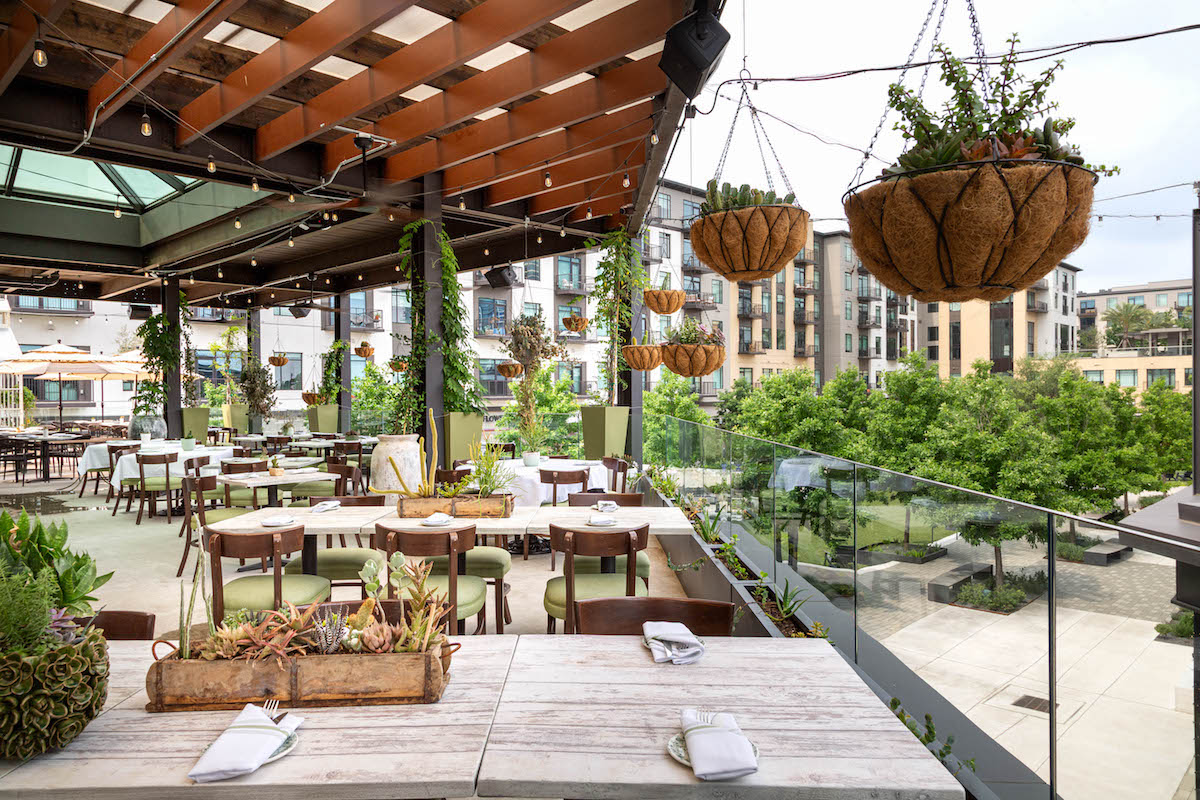 The lush and well-appointed rooftop terrace at Succulent. | Photo by Jenn Duncan