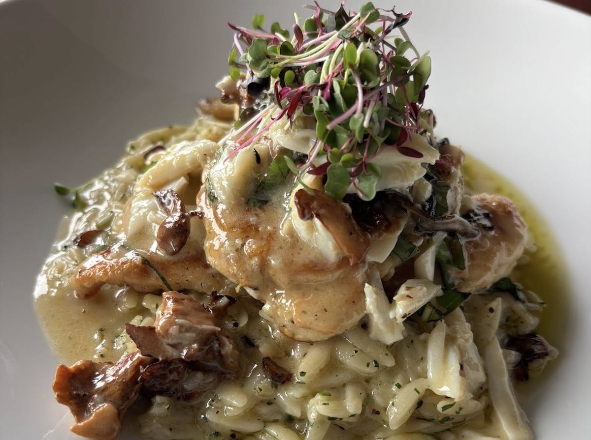 Chanterelle chicken at Brandani's Restaurant & Wine Bar. | Photo by Brandani's Restaurant & Wine Bar 