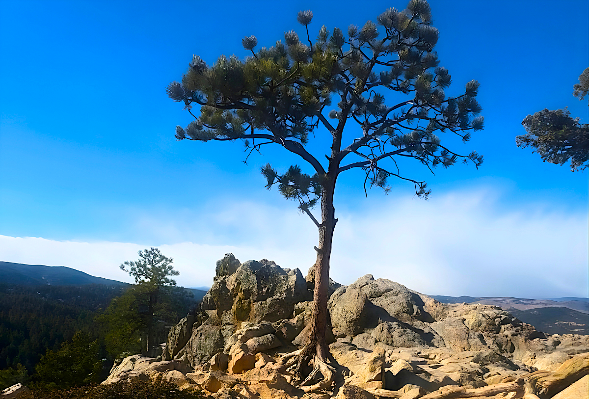 Chautauqua Hike - DiningOut Take a long, short, or mid hike in Chautauqua Park. | Photo by Max Sutton-Vermeulen