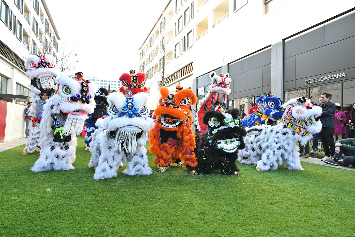 Dragon performance on the lawn at River Oaks District. | Photo by River Oaks District
