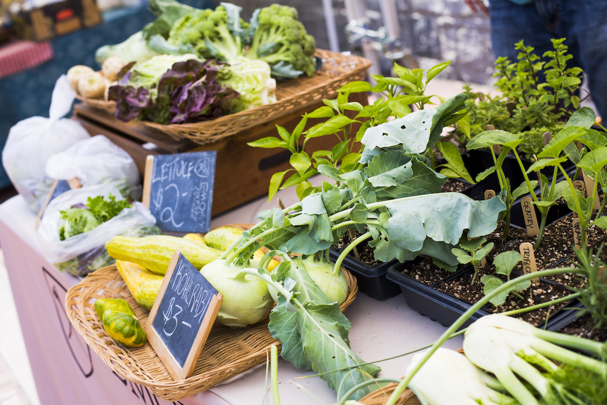 0052402-16AB - DiningOut Vegetables in baskets and live plants sit on top of a table with chalkboard signs displaying prices at Emory Farmers Market. | Photo by Emory Farmers Market