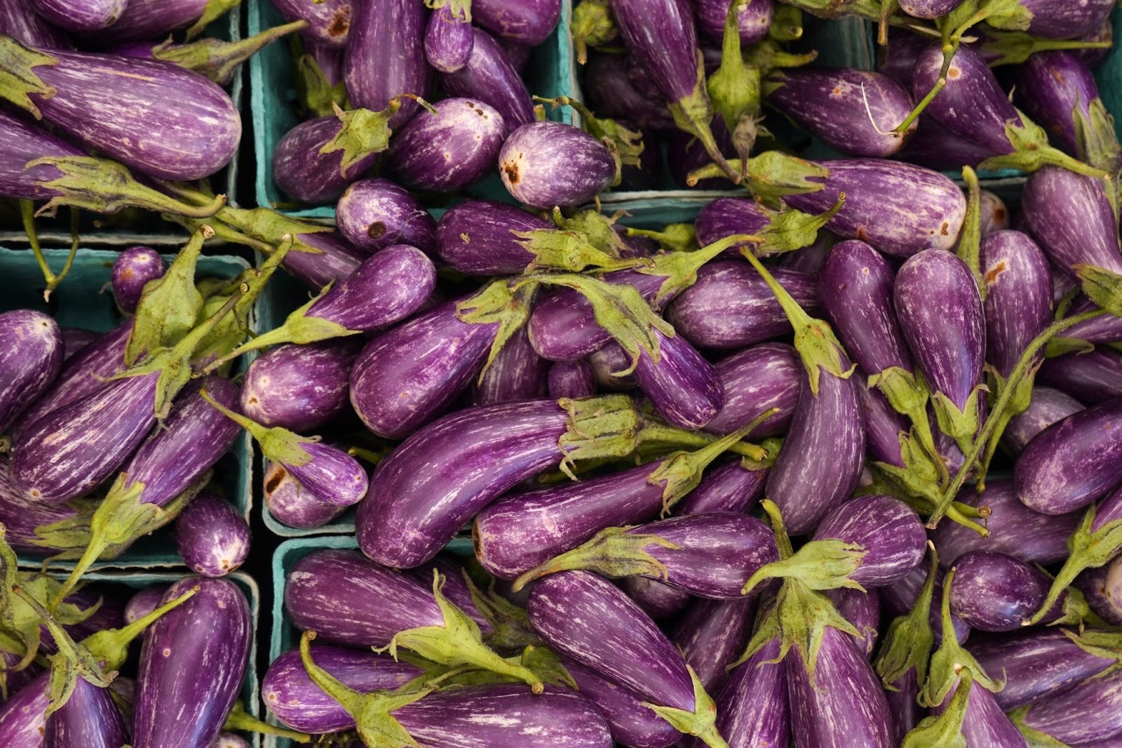 The Lafayette market has a fantastic selection | Photo by City Park Farmers Market