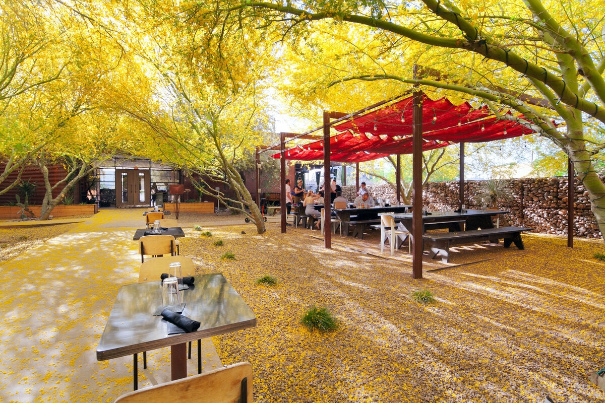 Ocotillo outdoor area with wooden tables under yellow-leaved trees. | Photo courtesy of Ocotillo