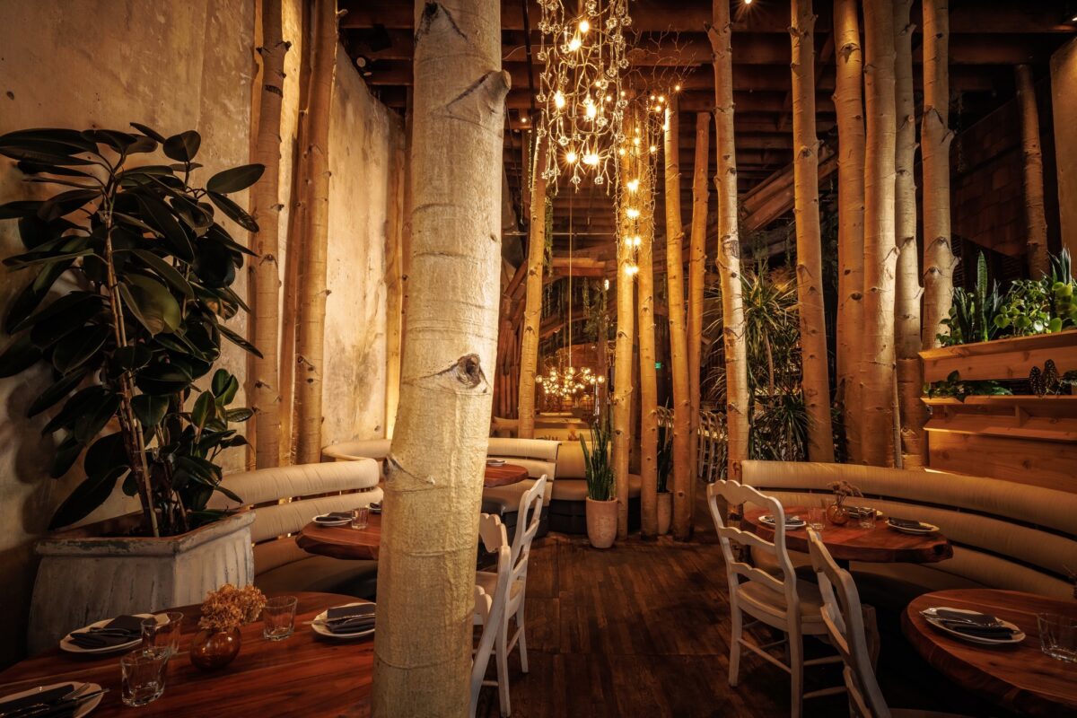 La Foret - DiningOut Get lost in a forest right in the Mile High City. | Photo courtesy of La Forêt