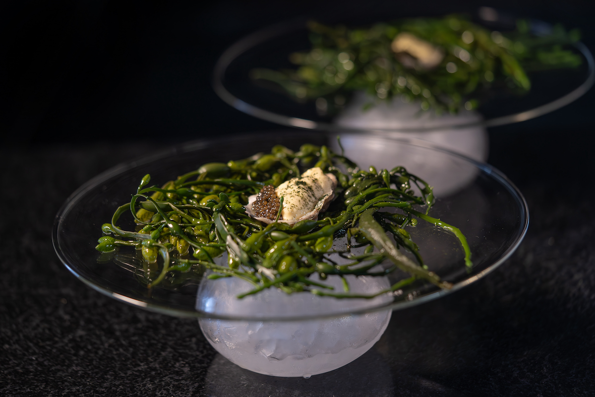 One of the night's seafood courses pairs oysters, caviar, and coastal flavors in a striking presentation that evolves with the evening's theatrical storytelling. | Photo by Amy Zawacki