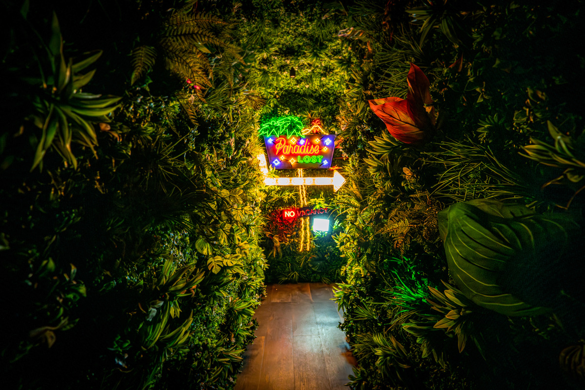 Paradise Lost feels like a vacation in the heart of the city. | Photo by Noah Fecks