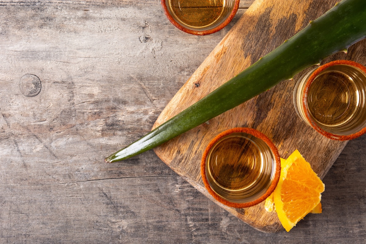 Mezcal Mexican drink with orange slices and worm salt on wooden table